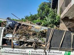 Best Demolition Debris Removal  in Buckhead, GA